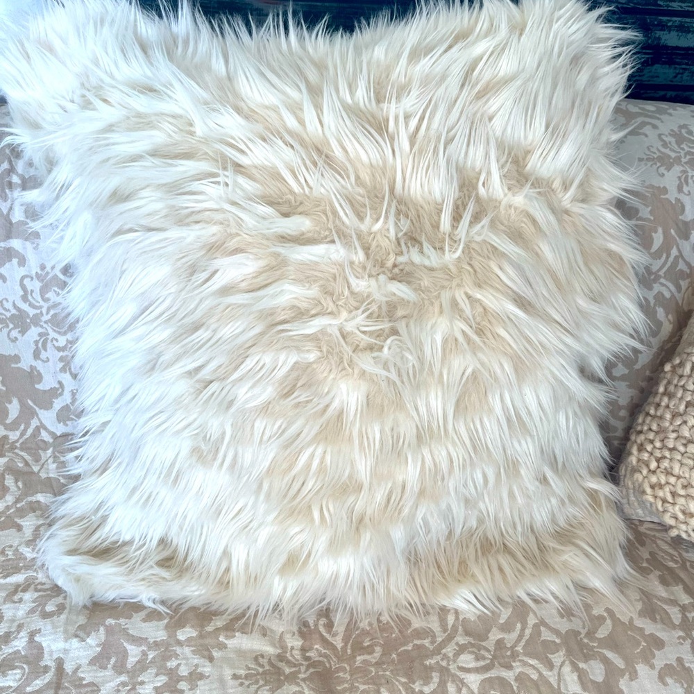 Pottery Barn Teen Faux Fur Sham Euro